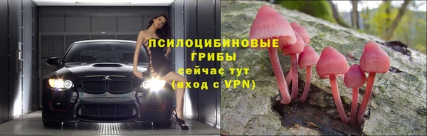 apvp Арсеньев