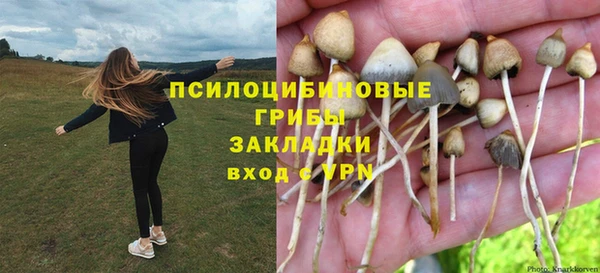 бошки Аркадак