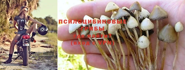 apvp Арсеньев