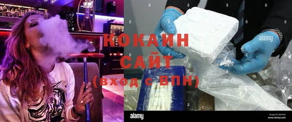 индика Армянск