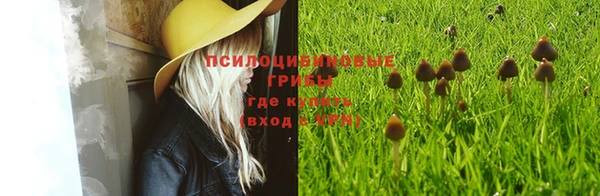 индика Армянск