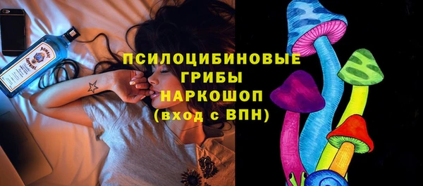 apvp Арсеньев