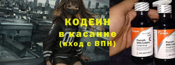индика Армянск