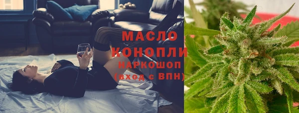индика Армянск
